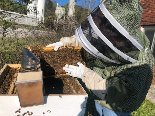 Lang Long BeehiveLANG-LONG BEEHIVE | Green River Bee Company